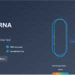 Read more about the article DNA to mRNA Converter Instant Results Free Online